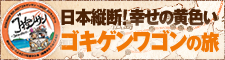 {cfIK̉FSLQS̗